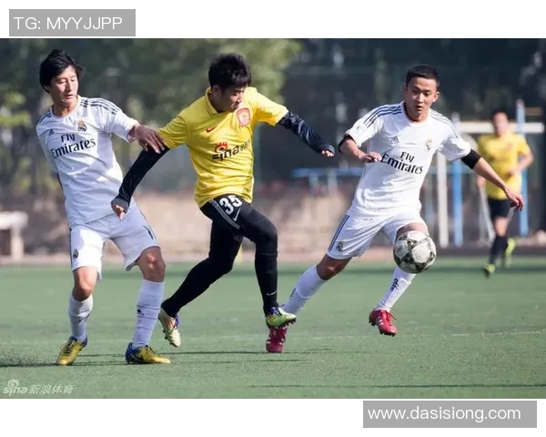 TES在精英赛中的个人能力分析与表现评估