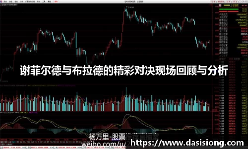 谢菲尔德与布拉德的精彩对决现场回顾与分析
